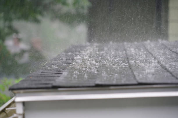 Reliable Madison, SD Roofing Services Solutions